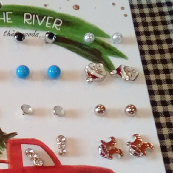 20-Piece Christmas Earring Set - Picture 4 of 4
